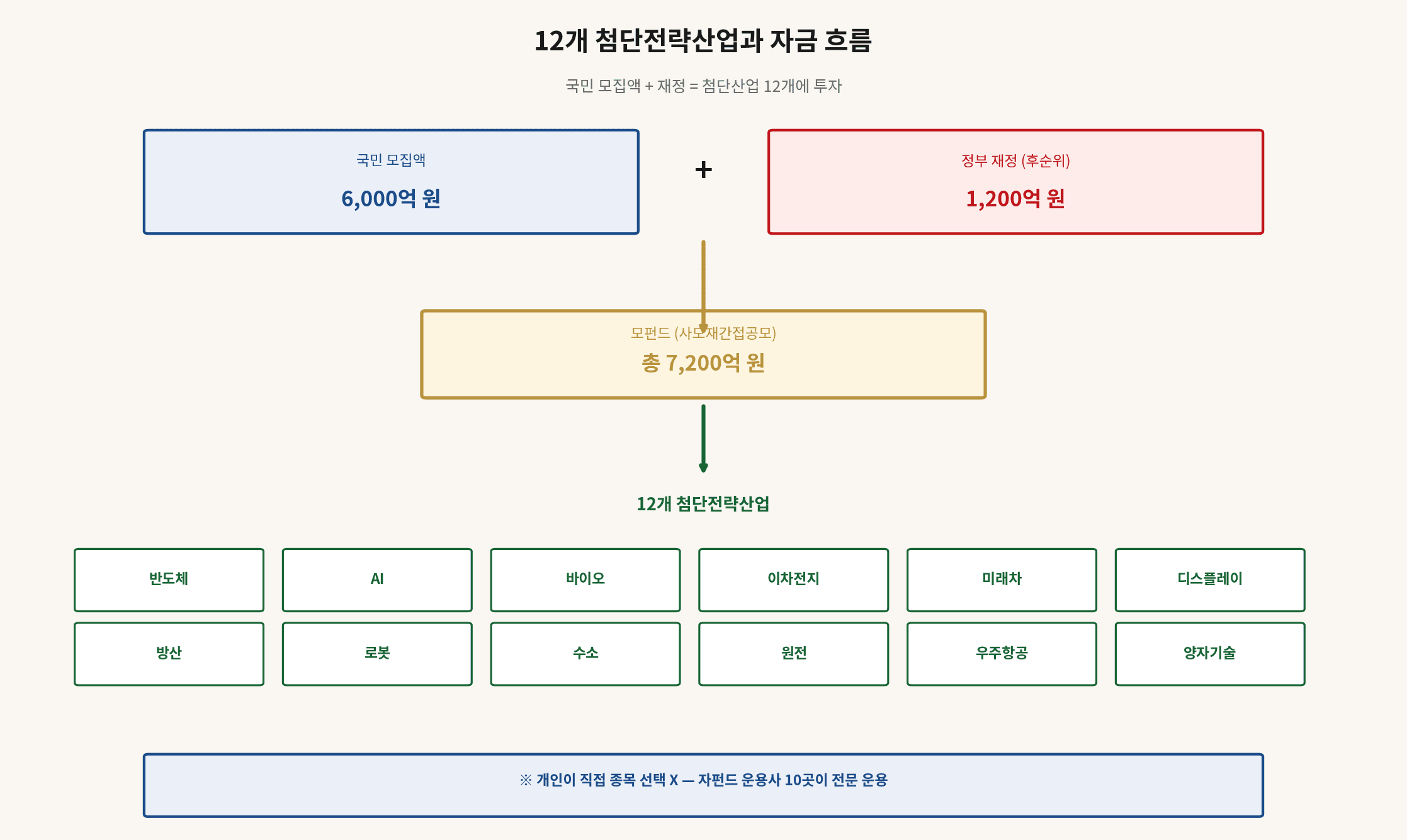 국민성장펀드 12개 첨단전략산업 자금 흐름 구조
