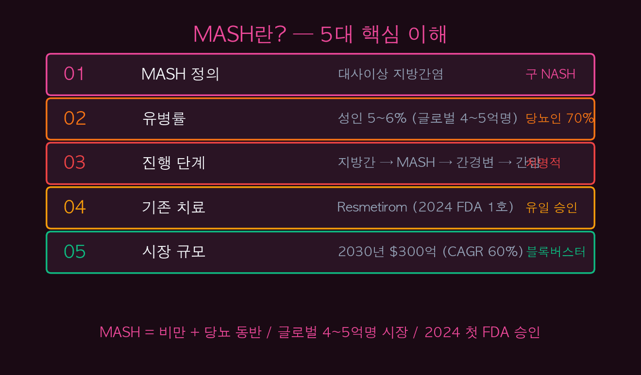MASH란 5대 핵심 이해
