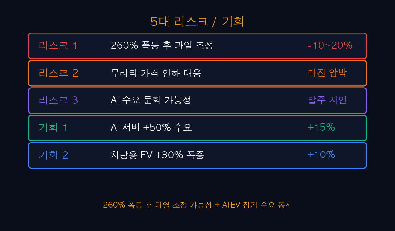 5대 리스크 / 기회