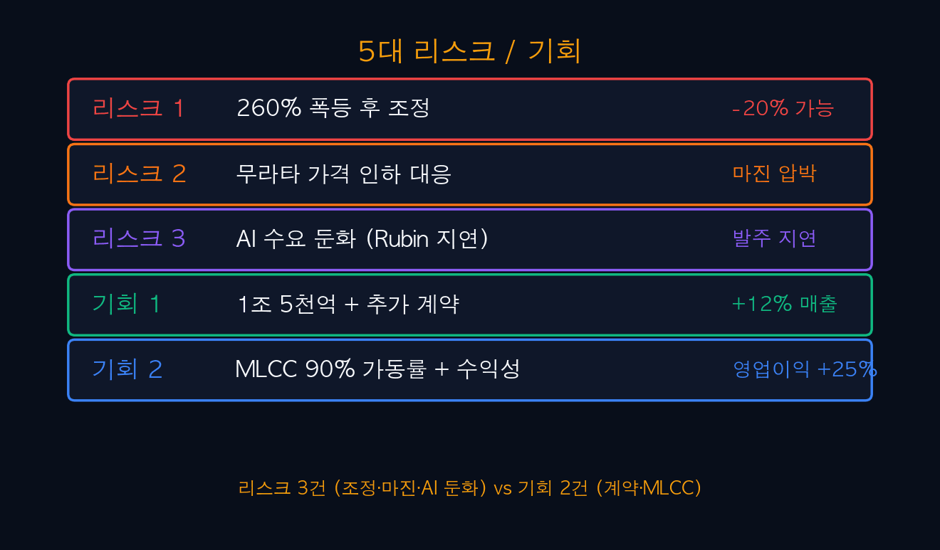 5대 리스크 / 기회